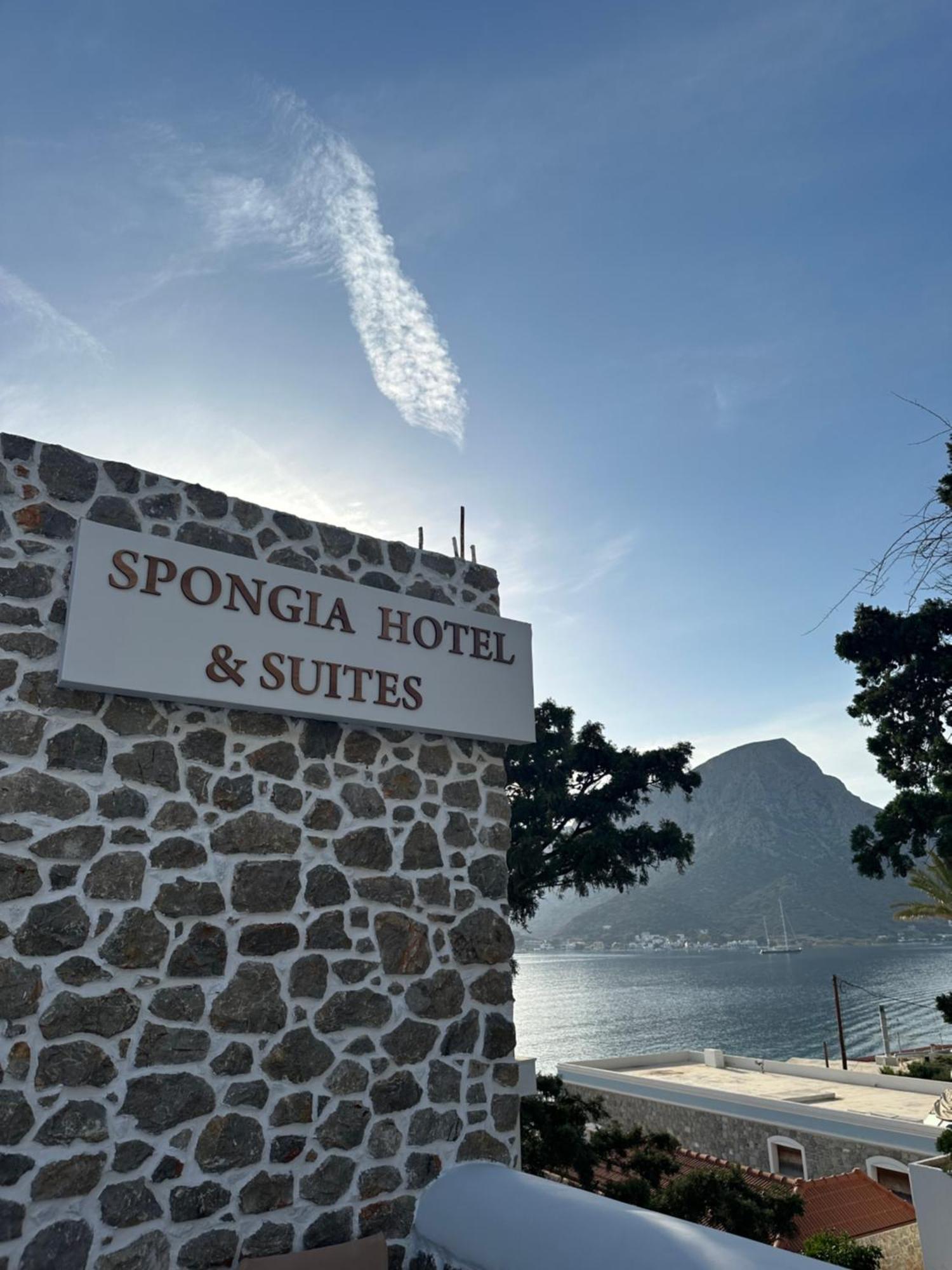 Spongia Hotel Suites & Spa Μυρτιές Εξωτερικό φωτογραφία