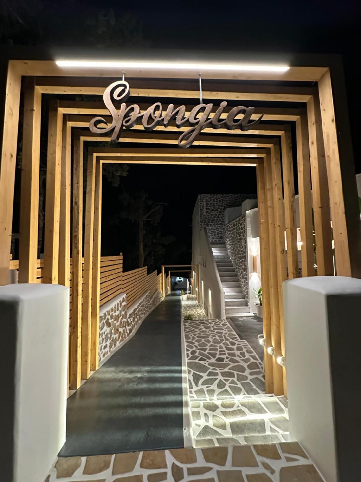 Spongia Hotel Suites & Spa Μυρτιές Εξωτερικό φωτογραφία